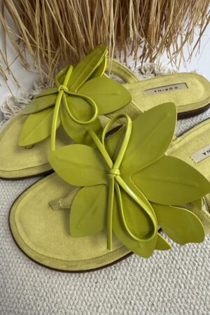 SANDALIA PETUNIA PISTACHO