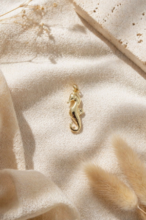 CHARM CABALLITO DE MAR